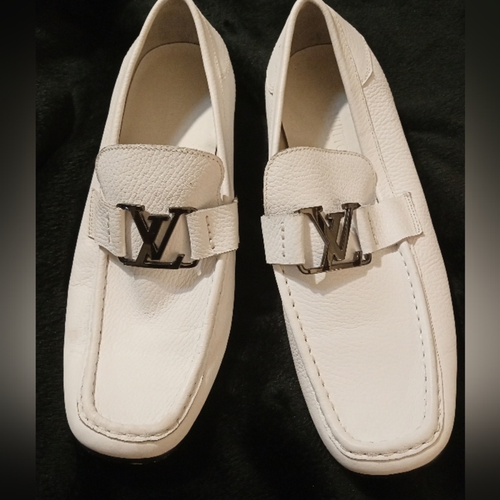 Louis Vuitton Authentic Shoes